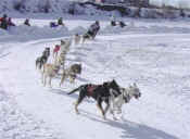 Marvin Kokrine Day 2