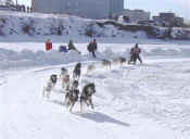 Schouviller Wassilie Day 2