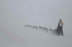 pinedale_leg3_68.jpg (54807 bytes)