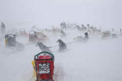 pinedale_leg4_26.jpg (90337 bytes)