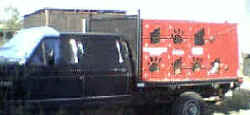 Maddalena's Truck