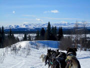 Jocelyn Bradbury Photo: Norway by dog team