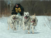 Photo provided by Francois Latour : Oliver Lemire Daquaam 2012