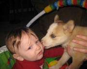 Josi Thyr -  Luke & Puppy