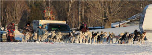 Kim Berg Photo : Valley Snow Dogz LLC  3 mushers, 3 passengers, 26 dogs line out and ready to roll!