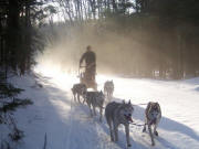 Kim Berg Photo : Sunlit teams coming through the fog in New Hampshire