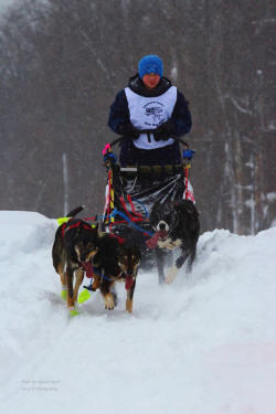 Sigurd Utych Photo : Steven Brown of Newberry Michigan competing in the 2014 Tahquamenon Country Sled Dog Race