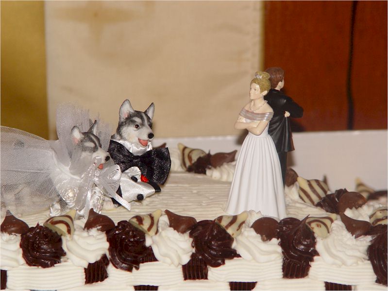 Photo provided by Jim Tricia Smith Youngstown Ohio Wedding cake toppers