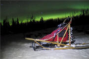 Dave Wurts Photo: Northern Lights in Willow, AK