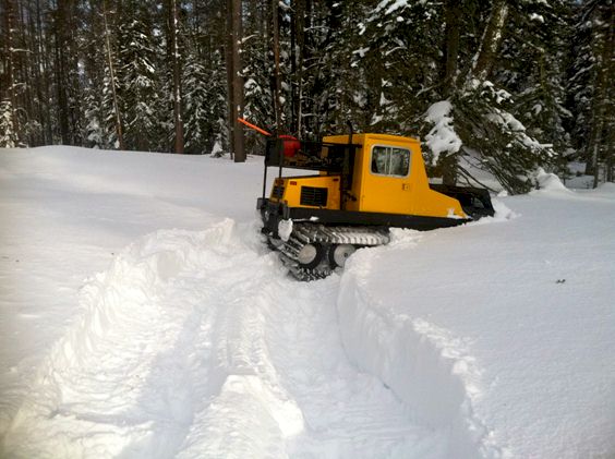 Twila Baker's Groomer