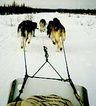 back.jpg (6968 bytes)