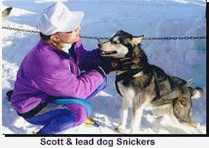 Scott Dahlquist with skijor leader, Snickers