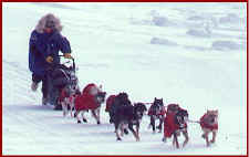 Aliy and team - 1998 Quest