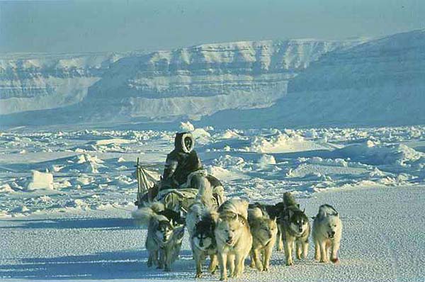 Photo: Corel Arctic