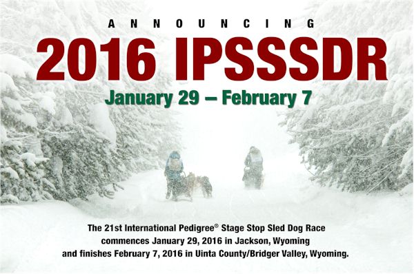 2016 IPSSSDR Logo