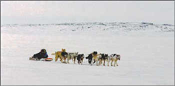 Nunavut Style Racing