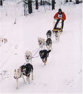 Dean Coan, 8 Dog Class