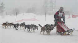 bacchus.jpg (27641 bytes)