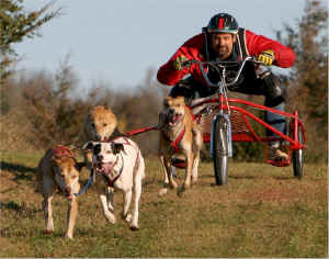 Jim Benson photo by Joy Green