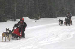 2 Dog Finish at Land O Lakes