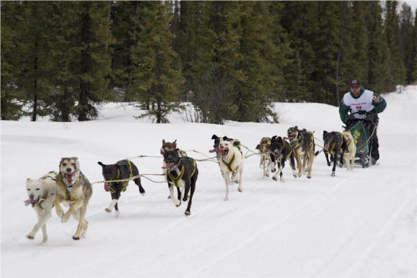 John Stewart Photo : Buddy Streeper's Team Day One