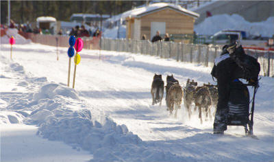 Brooke Hartum kicks her team to a 2nd place overall finish in the 10 Dog