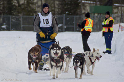Most Sportsmanlike Musher, Josh Lichti