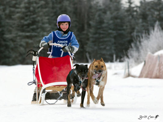 Britt Coon Photo : Happiness is running a dog team