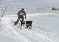 Dr. Kirsten Phillips Photo : 2013 Rosebud Run Sled Dog Classic