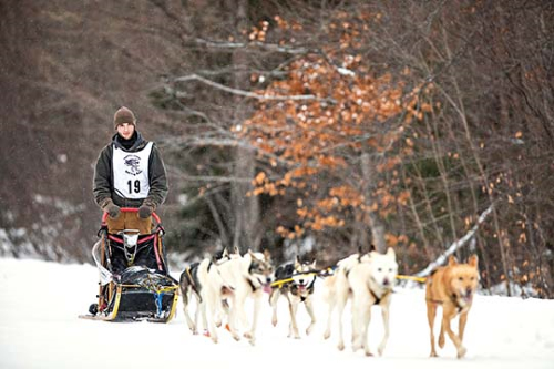 Photo provided by Evan Smith MTU Mushing Club member Steven Beauprey finishes with his team in eighth place in the 40-mile Tahquamenon Country Sled Dog Race. The club is beginning its second year of racing.