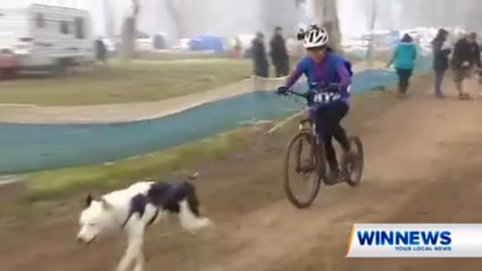 A musher running the course with her dog.