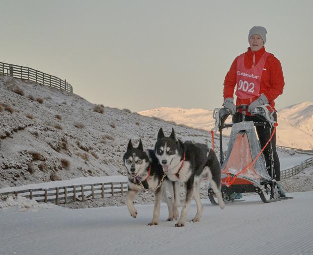 Sarah Campbell and her dogs at Snow Farm. Photo: Garrick Cameron/Studio 5