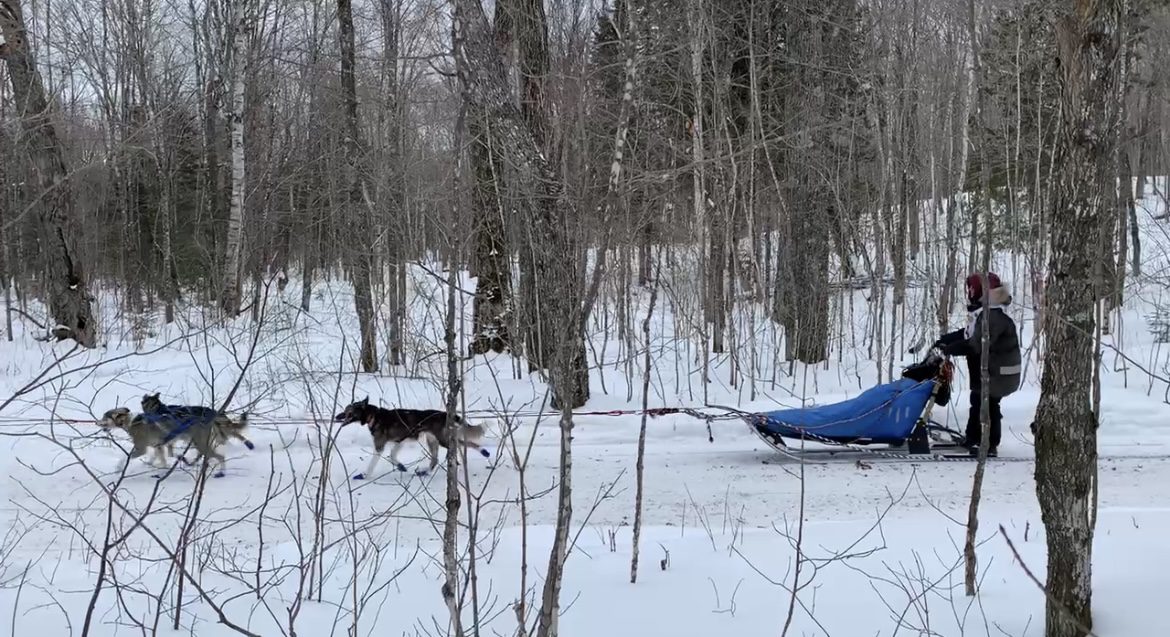 Musher in the trees from 2021 | Article Credit: Baihly Warfield, Image Credit: WDIO-TV/Archive 2021
