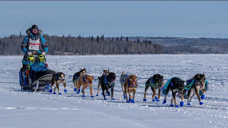 The Canadian Challenge Sled Dog Race will be held between La Ronge and Missinipe in 2025. | Image: Facebook - Canadian Challenge Sled Dog Race, Article: Derek Cornet, NortheastNow.com