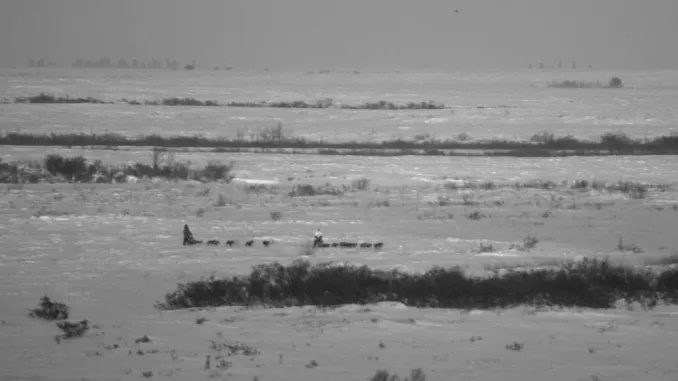 Alexie’s winning streak continues with 9th consecutive win