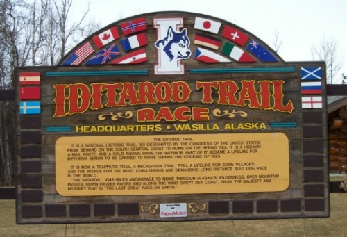 In fact while the Gold Rush was going full swing in Alaska, groups of dogsledders formed and wanted to compare their teams’ strength and speed. That’s about all it took for the sport to be created…