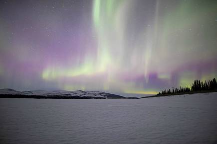 The northern lights light up the trail between Kiana and Ambler during the Kobuk 440. - Apayauq Reitan