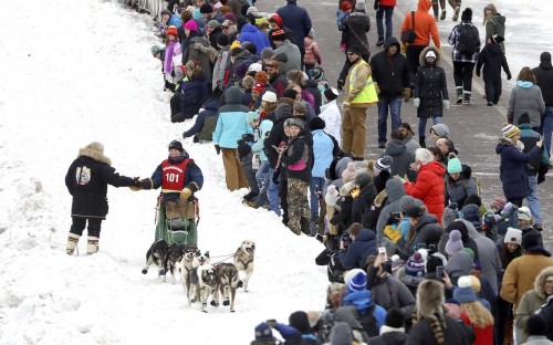 Racer Talia Martens slaps hands with volunteer Binner Rahn at the start of the 2020 John Beargrease 120-mile mid-distance race while the crowd looks on. (File / News Tribune) Racer Talia Martens slaps hands with volunteer Binner Rahn at the start of the 2020 John Beargrease 120-mile mid-distance race while the crowd looks on. (File / News Tribune)