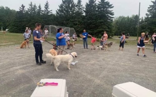 People and their dogs prepare to walk in the 2020 Can-Am Dog-A-Thon to raise funds for the Can-Am Crown International Dog Sled Races in Fort Kent. This year