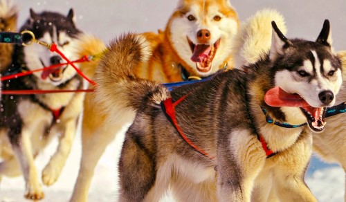 The Canadian Challenge is Canada The Canadian Challenge is Canada