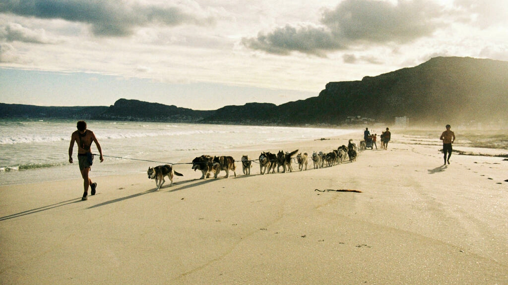 Depending on the day, husky sledding can attract quite a crowd of spectators | Credit: Alessandro Iovino AFP