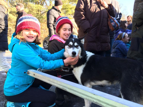 Savannah Price and Katherine Price, left and right, pet Savannah, a five-year-old Siberian husky during a presentation on mushers and dogsleds at the Clifton Park-Halfmoon Library
