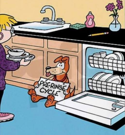 The best pre-rinse buddy a person can get ;)