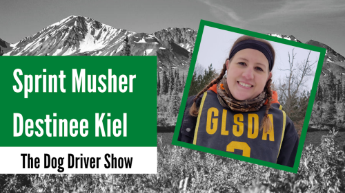 Join hosts Robert Forto and Kourosh Partow as they welcome Destinee Kiel to The Dog Driver Show.