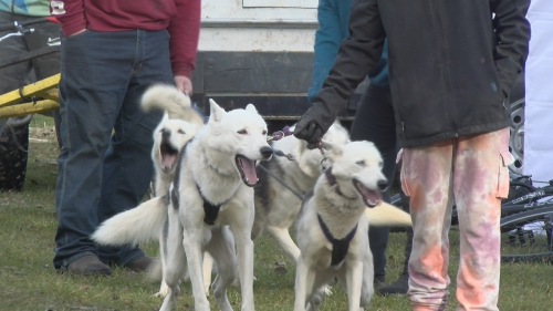 Story By Kyle Pozorski