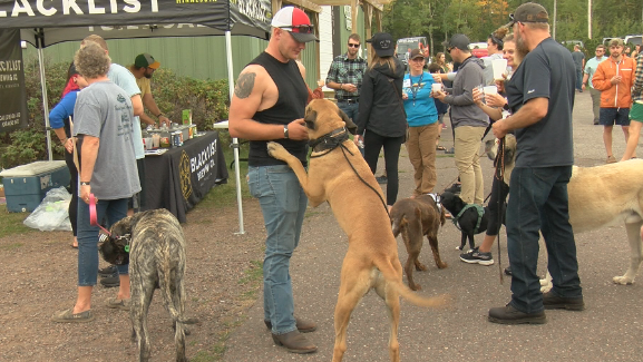 Crowd gathered at the festival. | Image Credit:  Robb Coles