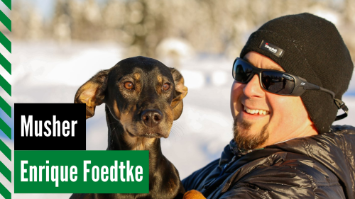 Join host Robert Forto and Kourosh Partow as they welcome musher Enrique Foedtke to The Dog Driver Show.
