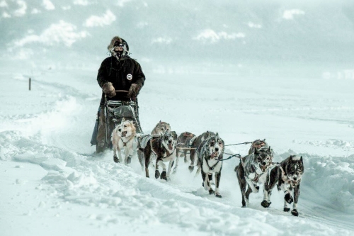 Shown is Craig Houghton during last year’s race. (Manu Mandhok/Submitted)