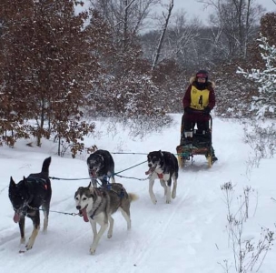 Gina Dewey participates in a sled dog race. Her husband, Tim Dewey, called it the "loudest silent sport."