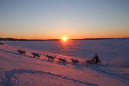Lex Treinen / Alaska Public Media / Paige Drobny, of Cantwell, approaches the Galena checkpoint during the March 2022 Iditarod.